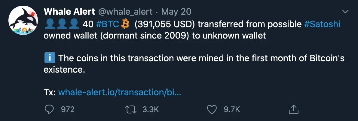 Whale Alert May 20