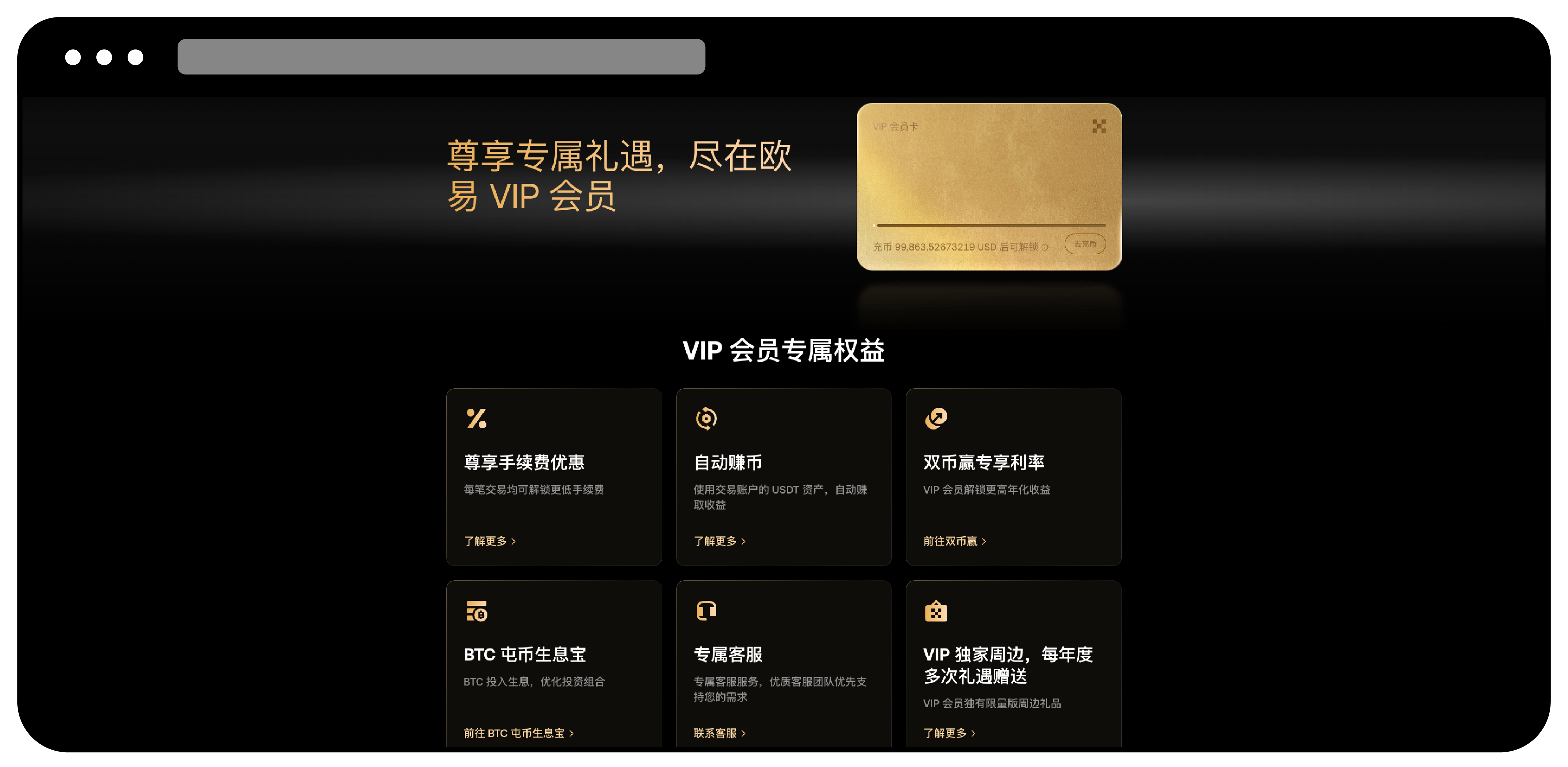 VIP 计划 02