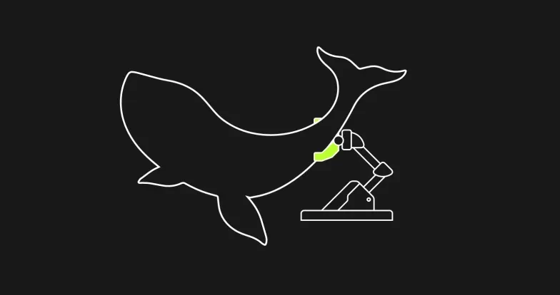 What Is a Crypto Whale and How Do They Affect the Markets