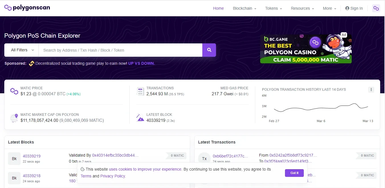 Polygon Blockchain Explorer