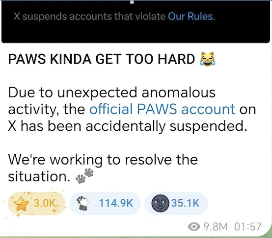 PAWS X suspension