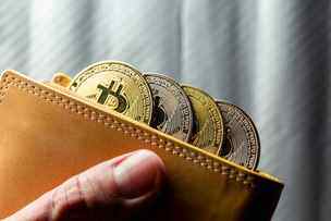 A beginner’s guide: 5 best crypto wallets to store Bitcoin and other digital currencies in 2024