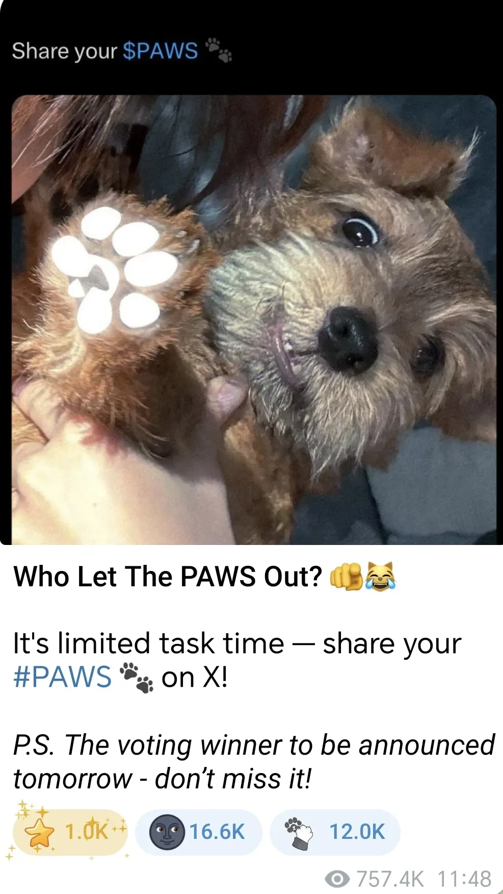 PAWS task