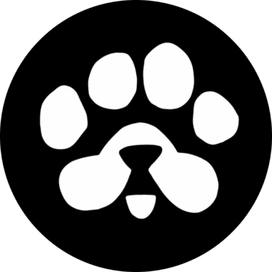 PAWS Token Launch on 18 March 2025: Studying the Hype Behind $PAWS