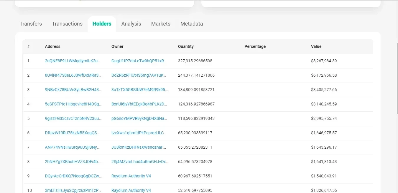 Solscan token holders