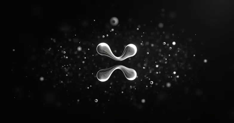 Ripple XRPL Adoption: Exploring Its Impact on Blockchain Innovation