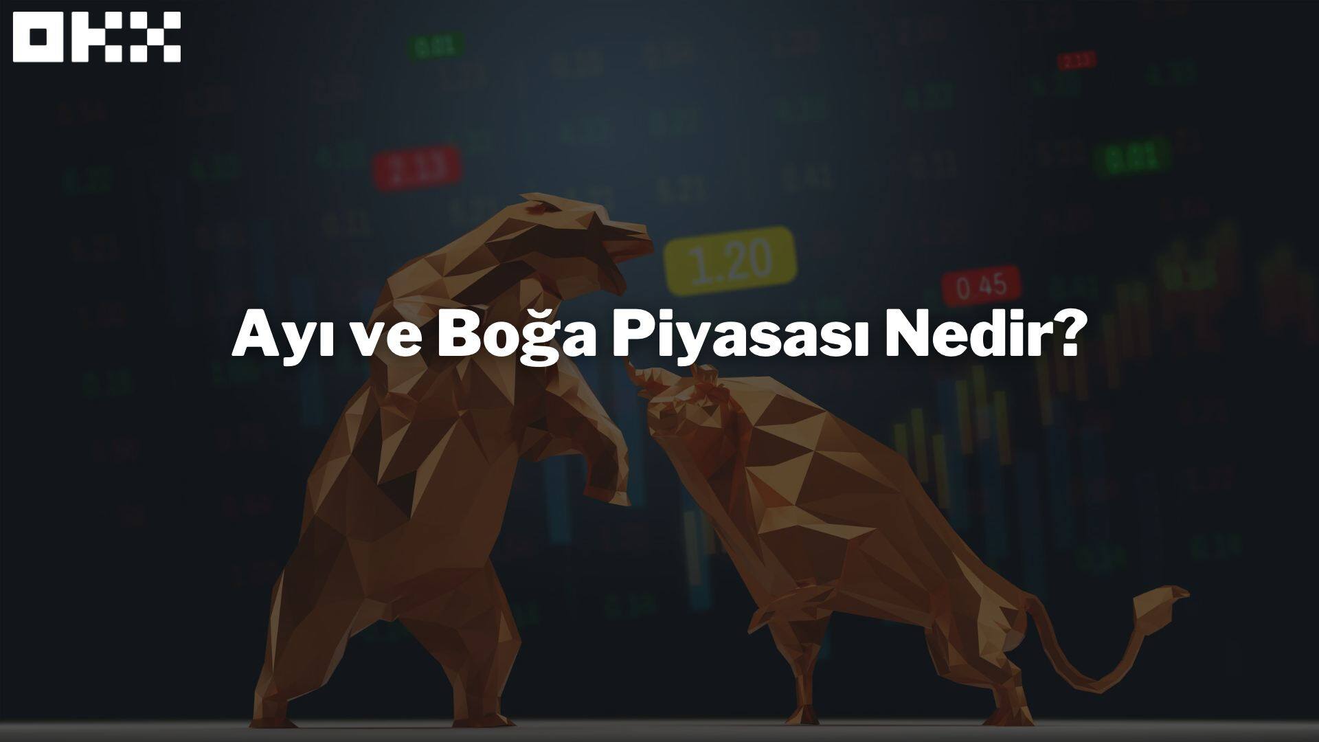Ayı ve Boğa Piyasası Nedir?