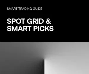 BLOG THUMBNAIL SPOT GRID SMAR TPICK 300X250