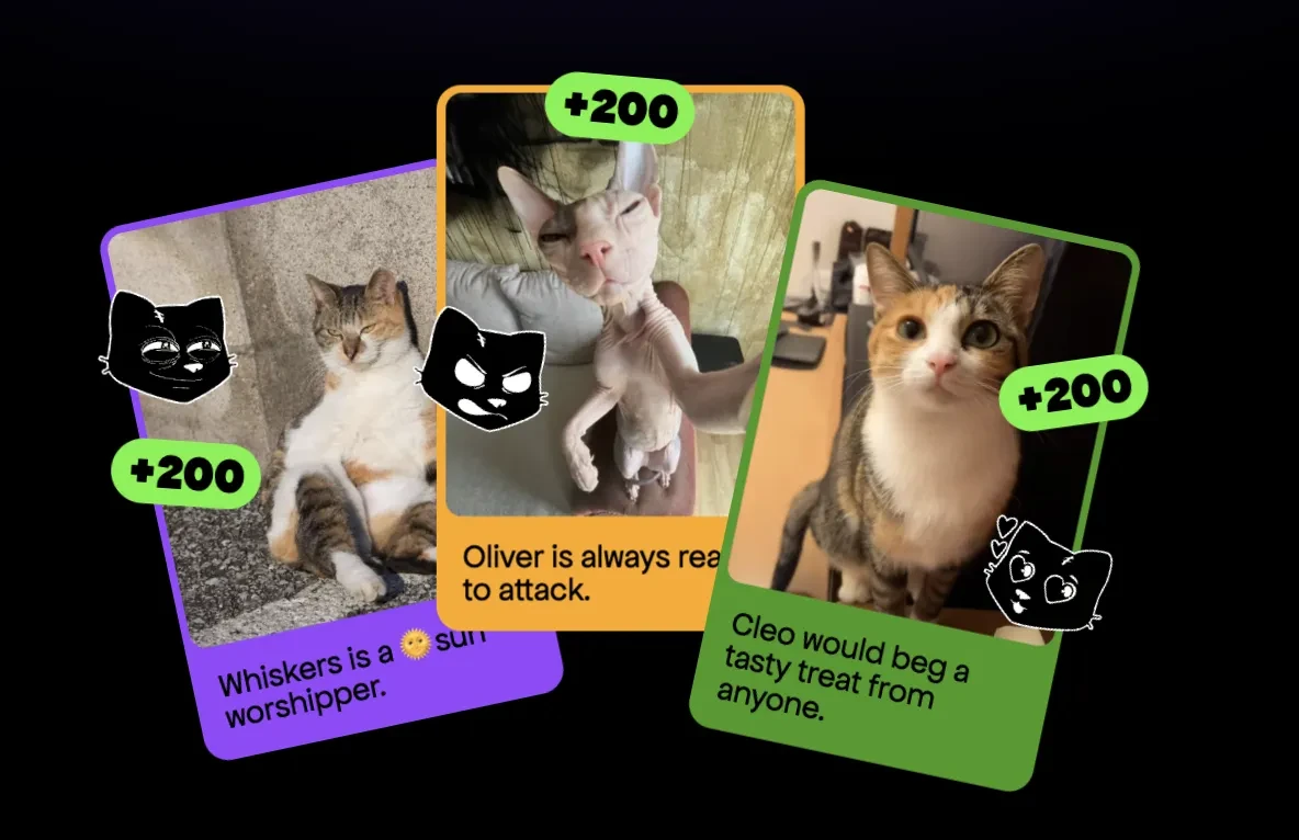CatsHouse introduction