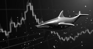 HYPE, USDC, and Whales: How Major Players Are Shaping the Market
