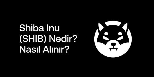 Shiba Inu (SHIB) Nedir? Nasıl Alınır?