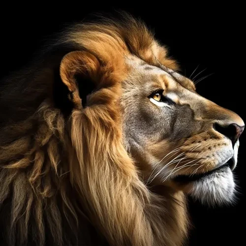 $LION - MAJESTIC