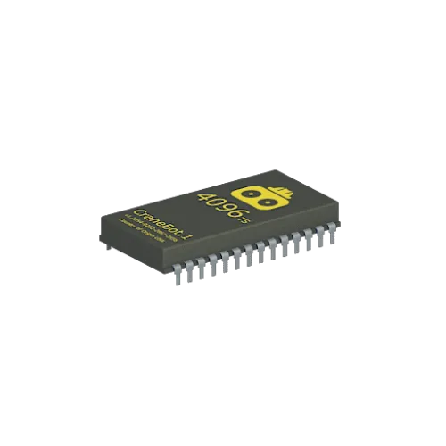 Memory Chip CR
