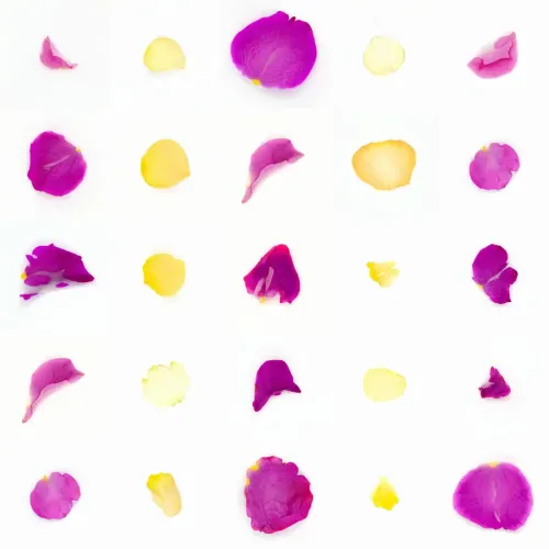 Infinite Petals 5x5#20133