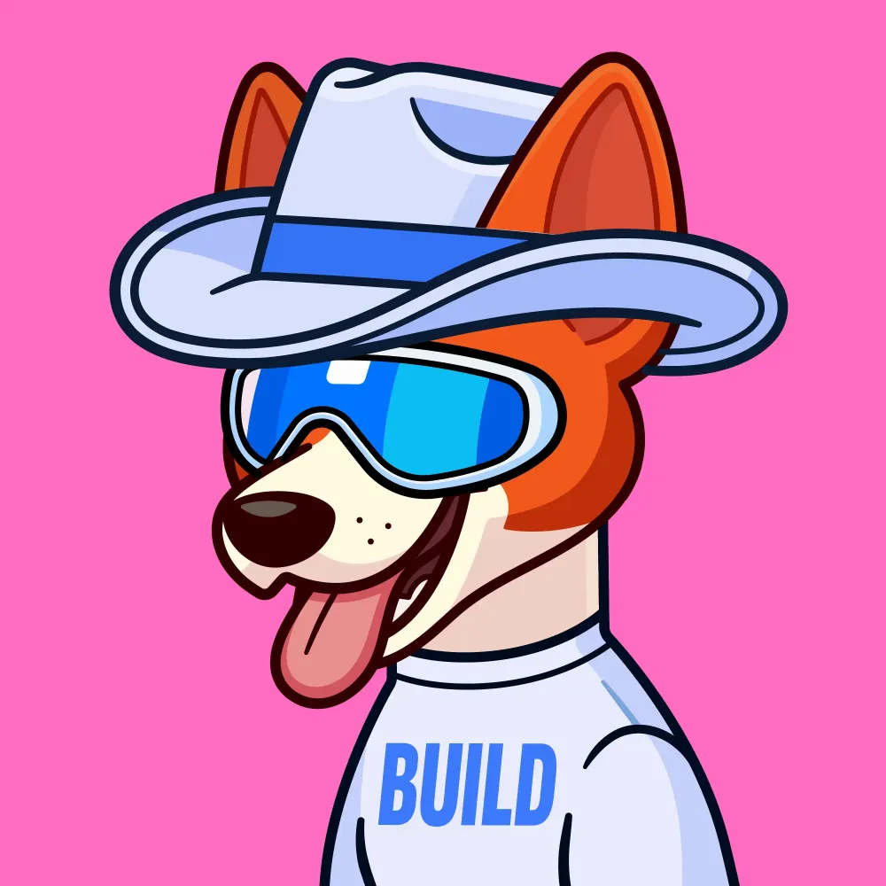 Basenji #2797