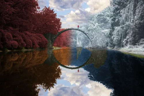 Reflection #992