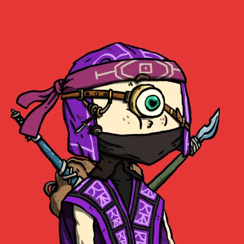 Ninja #2436