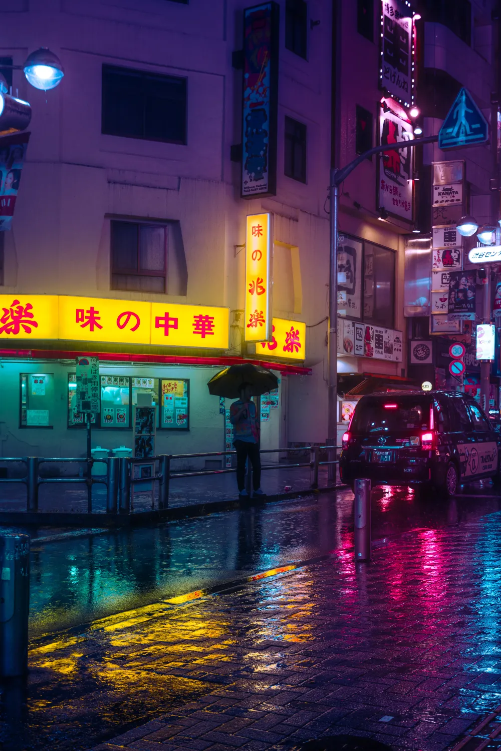 MONSOON #17