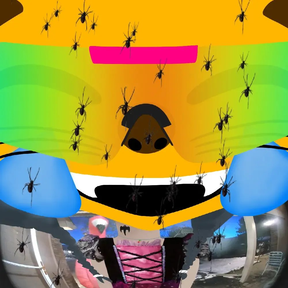 Trick or Network Spirituality? #1855