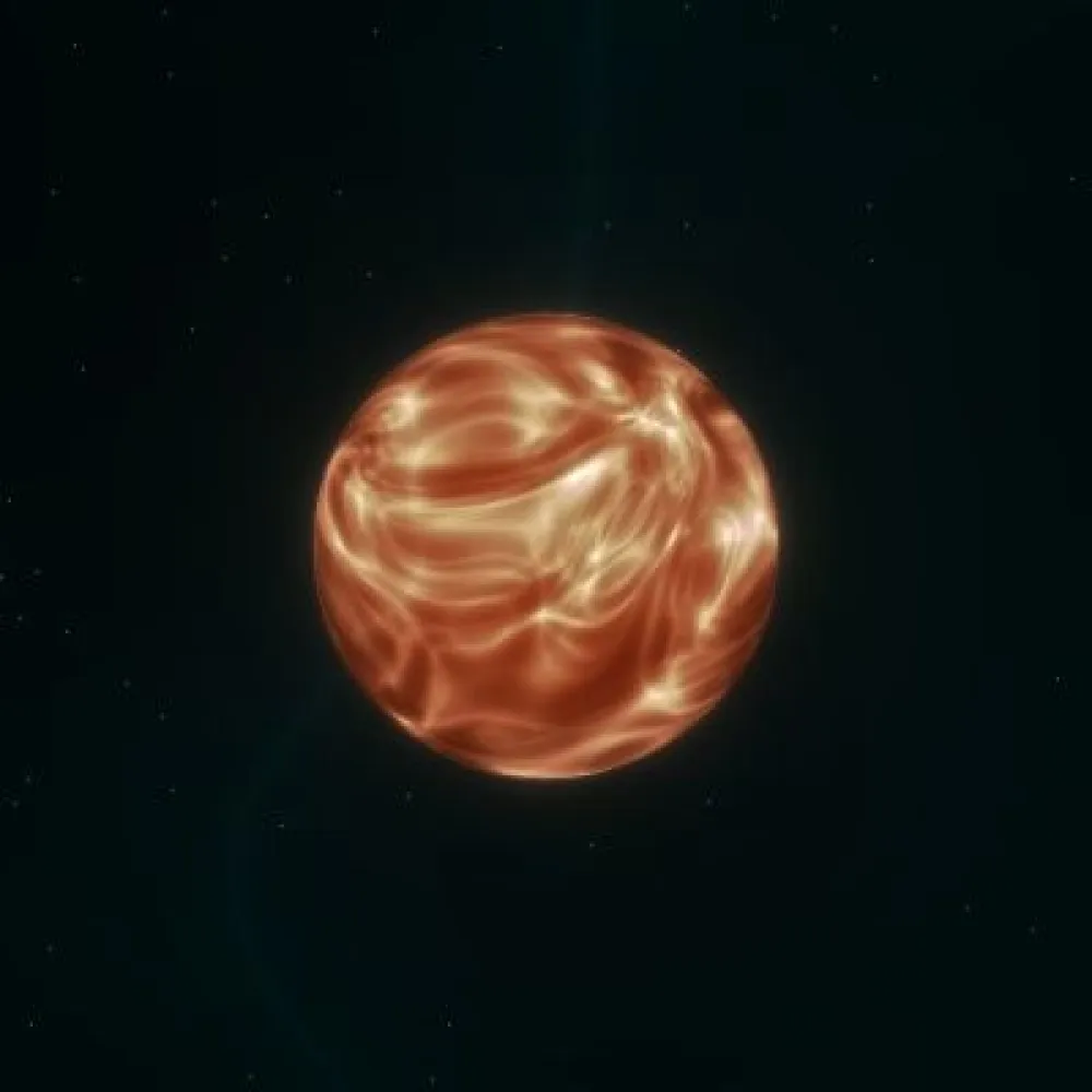 D08P0707 (#93881337)