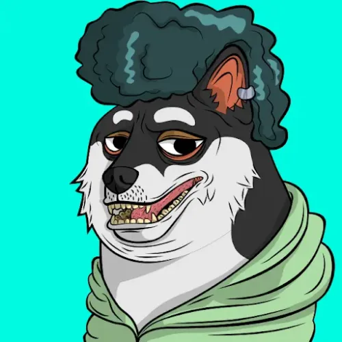DOGGY #5377