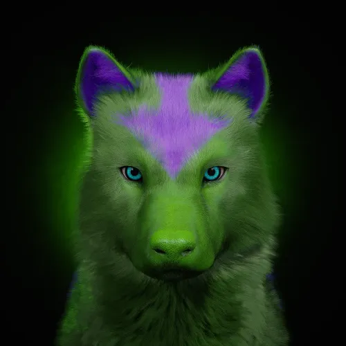Wolf #736