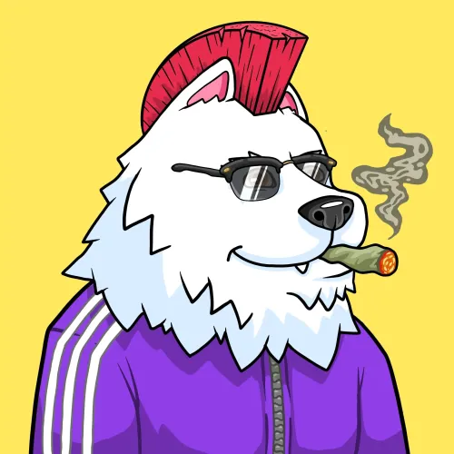 SAMOYED #4