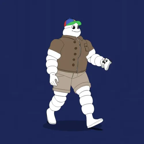 Michelin 3xplorer #165