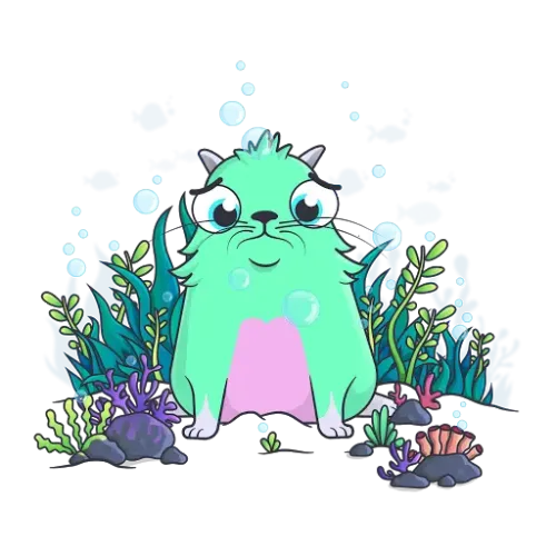 9 Cattributes from Fancy Lulus #879806