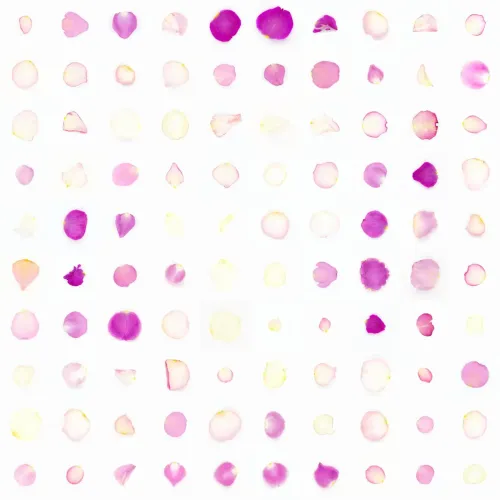 Infinite Petals 10x10#507583