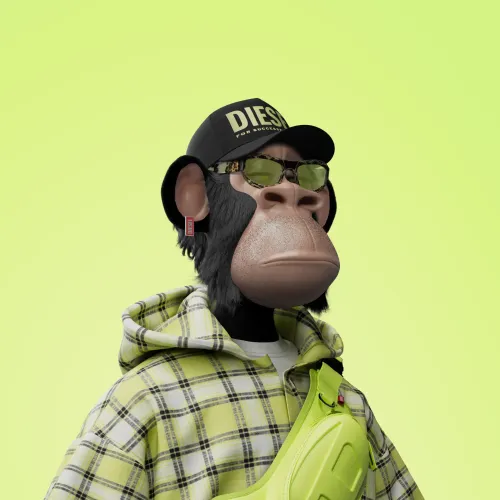 Diesel x Hape ＃599