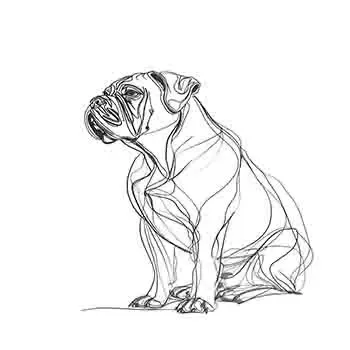 English Mastiff №3 #5