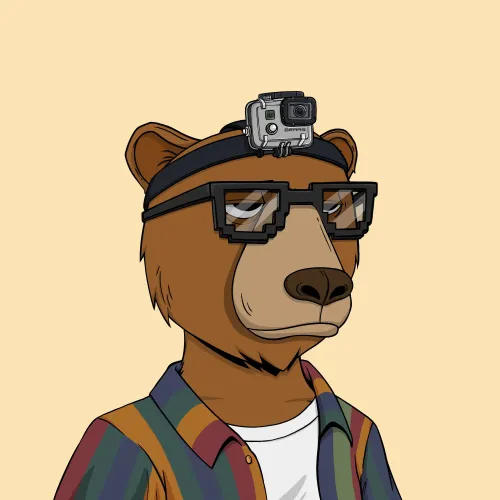 Okay Bear #7786
