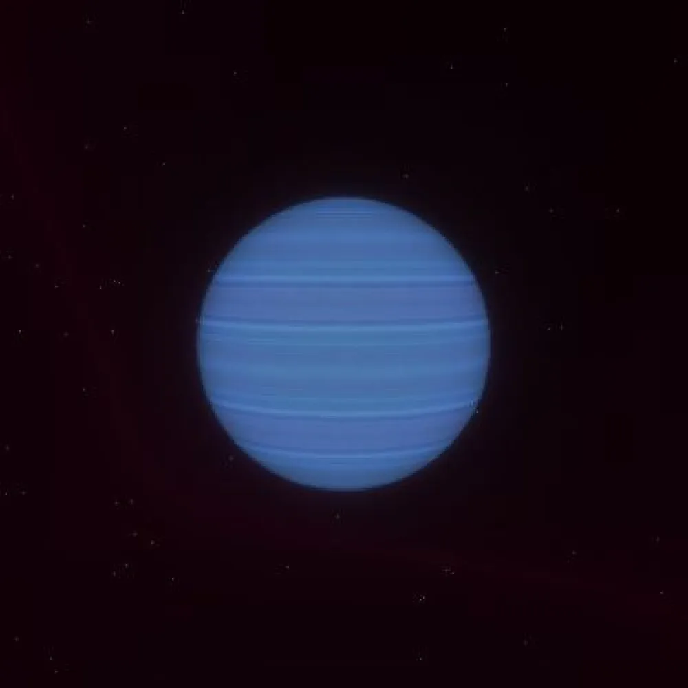 D12P1196 (#93902255)