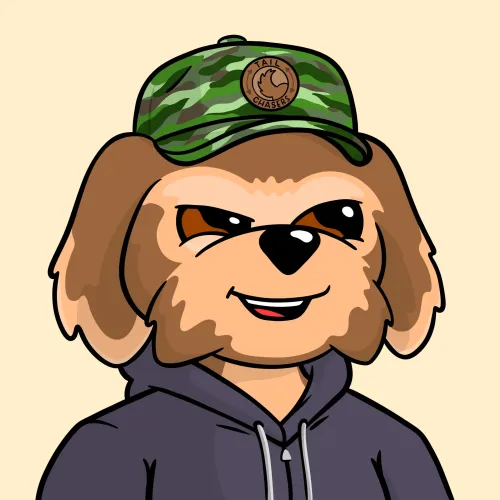 BoDoggos #798