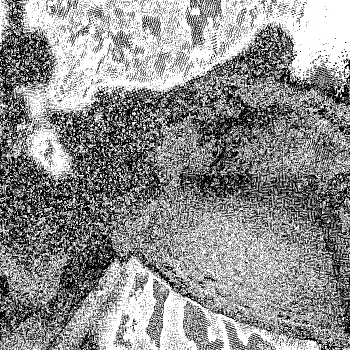 Noise #364