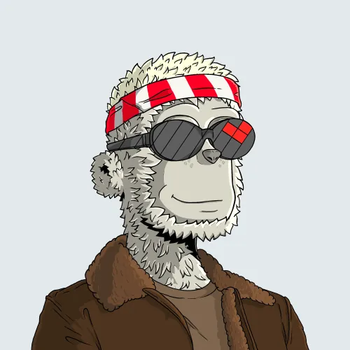 y00t #10525