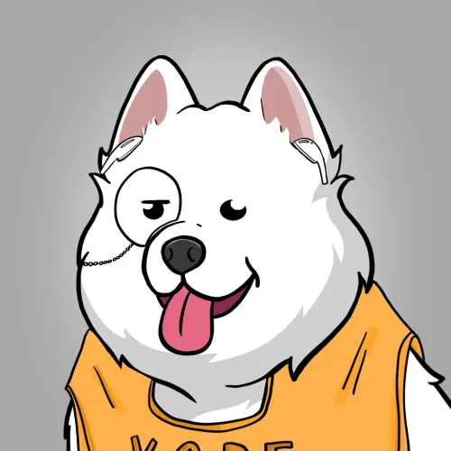 Samoyed #1489