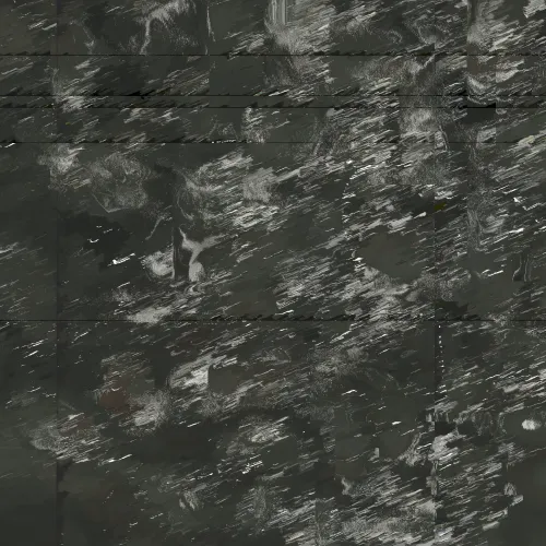 DDUST #153