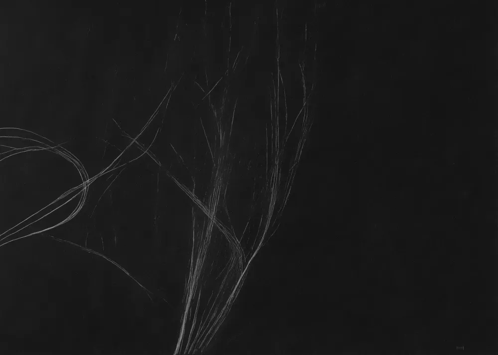 Lumens #174