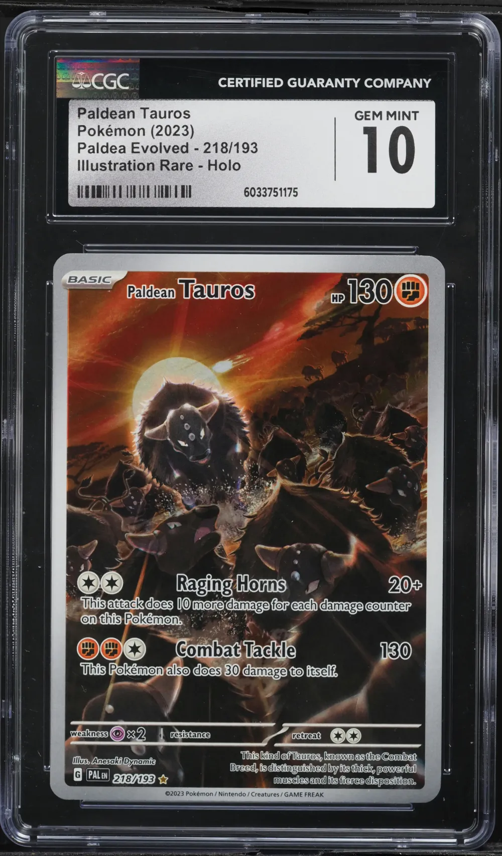 2023 #218 Paldean Tauros CGC 10 