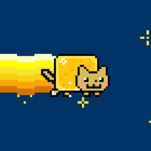 Golden Nyan Cat #9