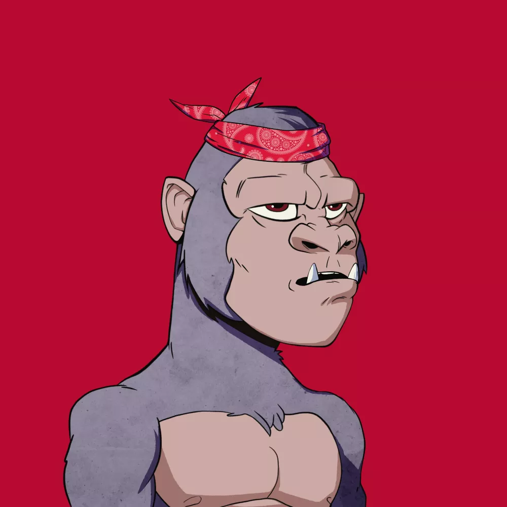 Kong #9067