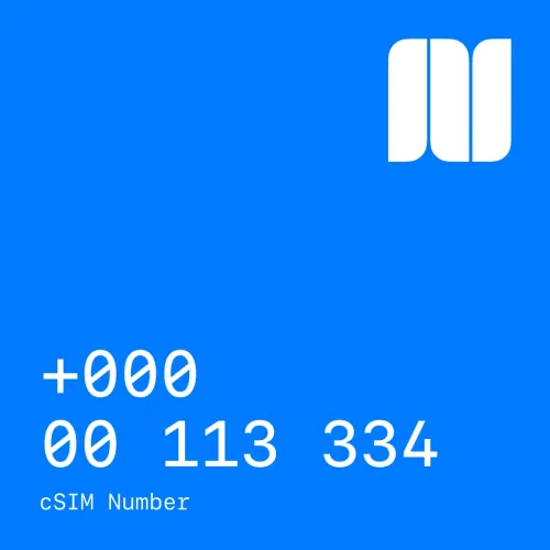 +000 00 113 334