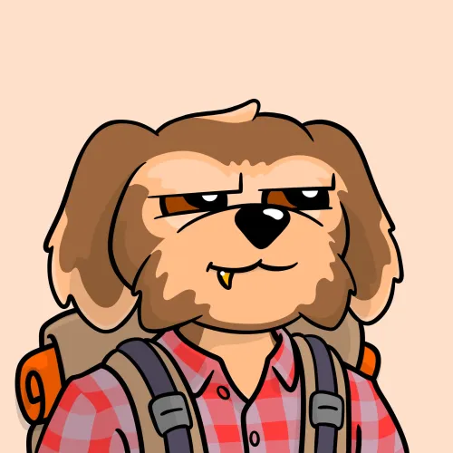 BoDoggos #1352