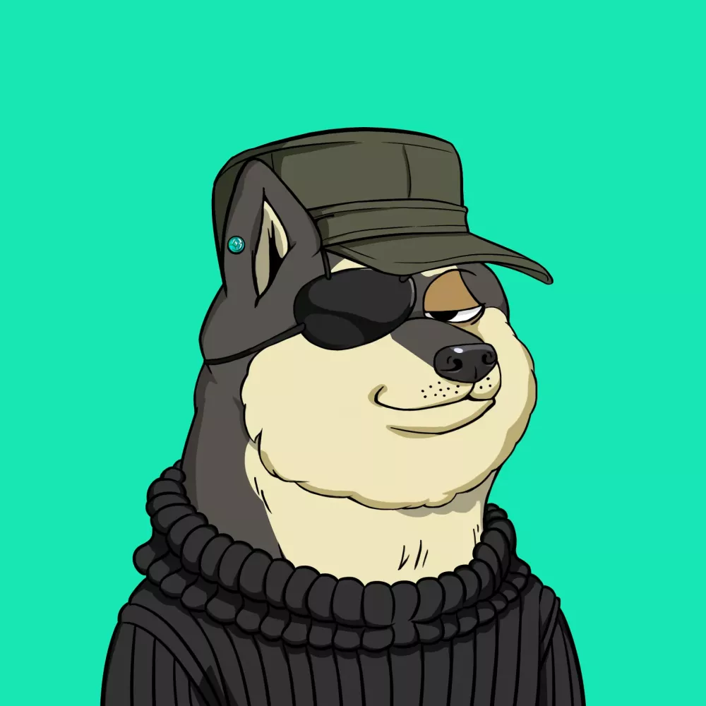 Doge Club(DOGC) #4604