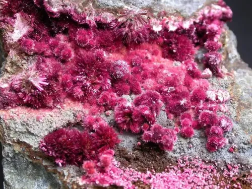 Erythrite #512