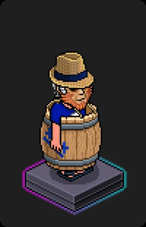 Habbo Crafted Avatar #972