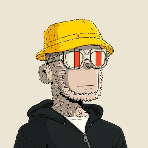 y00t #1733