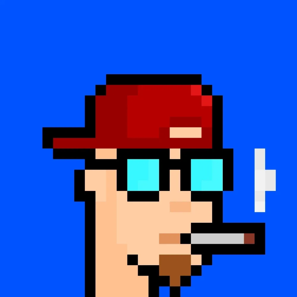888xPunks #247